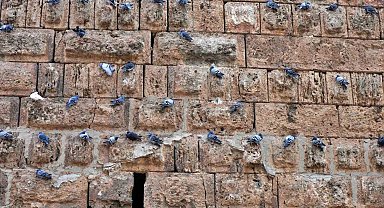 Antalya'nın simgesi Hadrianus Kapısı'nda güvercinler ve tarih iç içe