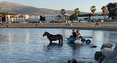 At arabasıyla denize girip güneşlendiler