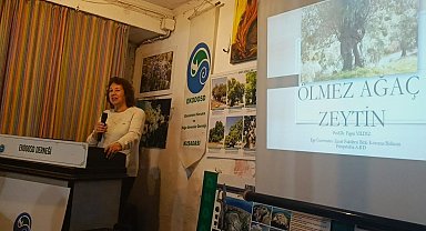 Aydın'da ölmez ağaç konuşuldu