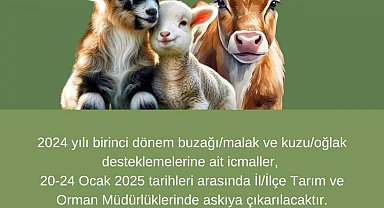 Aydın'daki çiftçilere uyarı: Destekleme icmalleri askıya çıkıyor