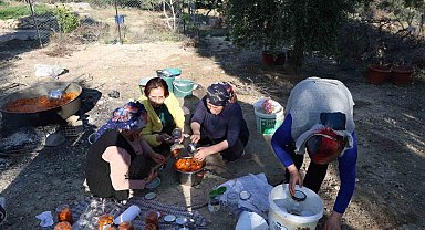 Bal kabakları imece usulü tatlıya dönüştü