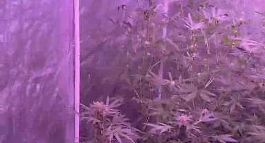 Bandırma'da uyuşturucu imalathanesine baskın: 1 gözaltı