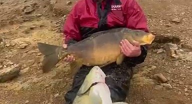 Barajda tuttuğu 30 kiloluk balığı bebek gibi ayağında sallayıp ninni söyledi