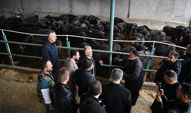 Başkan Büyükkılıç'tan üreticilere 100 manda