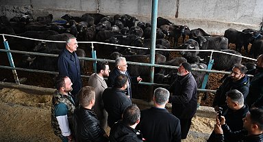 Başkan Büyükkılıç'tan üreticilere 100 manda