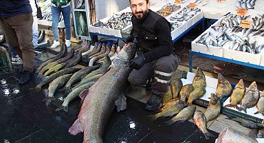 Batman'da dev turna balığı tezgahta sergilendi