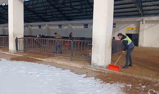 Bayburt'ta canlı hayvan pazarı yarın açılacak
