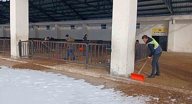 Bayburt'ta canlı hayvan pazarı yarın açılacak