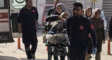 Budadığı ağaçtan düşen şahıs yaralandı