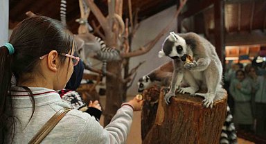 Bursa Hayvanat Bahçesi, öğrencilere tatil süresince ücretsiz