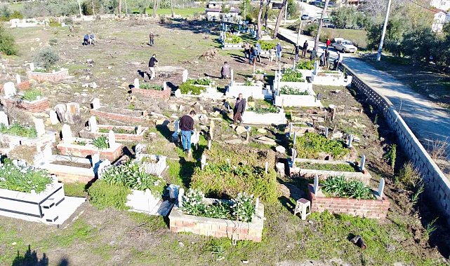 Büyük Manavgat yangınında küle dönen mezarlığın ağaçları yeniden yeşerecek