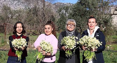 Büyükşehirden kadın üreticilere mis kokulu destek