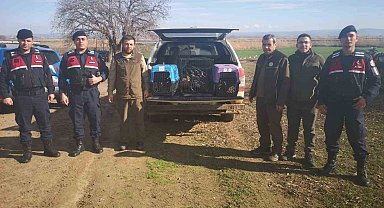 Çanakkale'de kaçak av operasyonuna 70 bin TL ceza