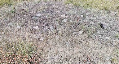 Cevizdere Şehitleri Gazileri Derneği kapatılma tehlikesiyle karşı karşıya