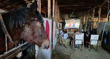 Çocukların at çiftliğinde saman balyaları üstünde sinema keyfi