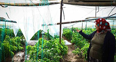 Demre'de dolu yağışıyla zarar gören seralar tespit ediliyor