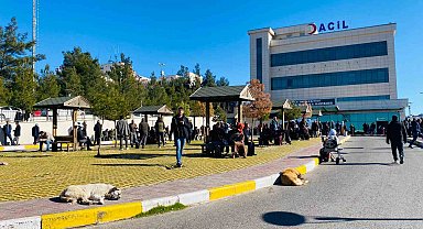 Diyarbakır'da köpek saldırısına uğrayan çocuk kafasından yaralandı