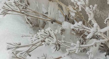 Dondurucu soğuklar devam ediyor, Göle eksi 31,5 derece