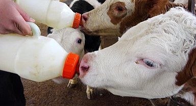 Düzce'de çiftçilerin destekleme icmalleri askıya çıktı