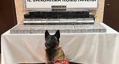 Düzce'de tırda bin 69 paket kaçak sigara ele geçirildi