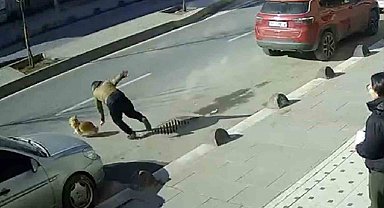 Elinden kaçan köpeğini yakalamak isterken az kalsın aracın altında kalıyordu