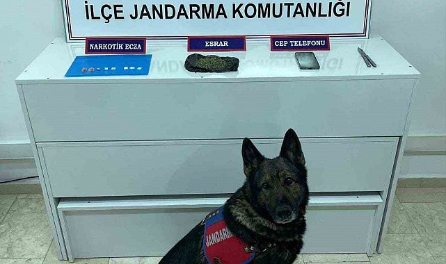 Erciş'te uyuşturucu madde operasyonu