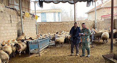 Ereğli'de küçükbaş hayvanlara şap aşısı