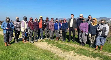 Erkeklerin işi olarak bilinen bağ budama işine kadın eli değdi