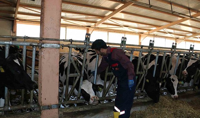 Erzincan'da 2024 yılında 1 milyon 170 bin doz aşılama gerçekleştirildi