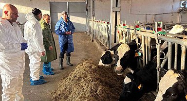 Erzincan'da 3 işletme ari işletme olmak için başvuru yaptı