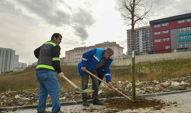 Esenyurt'un sokakları ağaçlarla süsleniyor