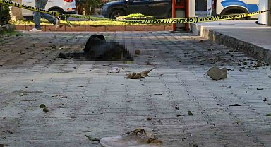 Eski eşi tarafından üzerine benzin dökülerek yakılmıştı, hayatını kaybetti