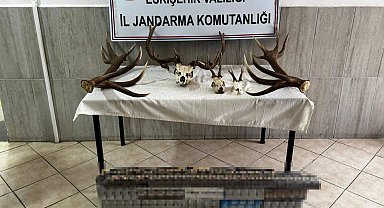 Eskişehir'de kaçak tütün operasyonu