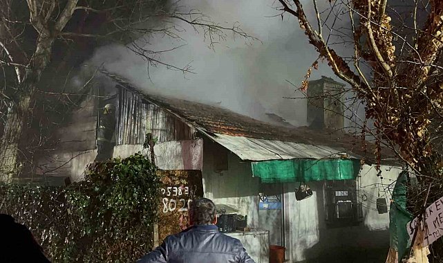 Ev ve ahır alev alev yandı: 4 hayvan telef oldu