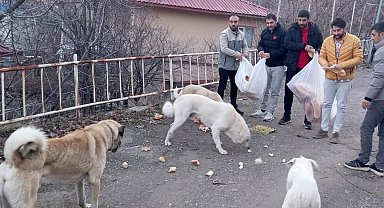 Gençlerden sokak hayvanları için seferberlik