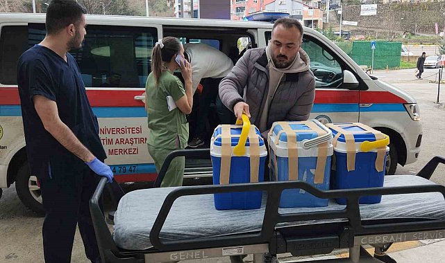 Giresun'da beyin ölümü gerçekleşen tiyatro sanatçısının organları 4 kişiye umut oldu
