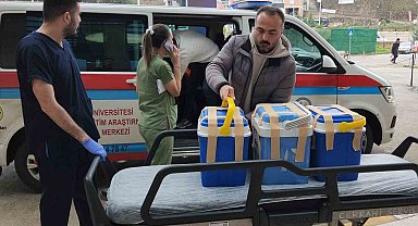 Giresun'da beyin ölümü gerçekleşen tiyatro sanatçısının organları 4 kişiye umut oldu