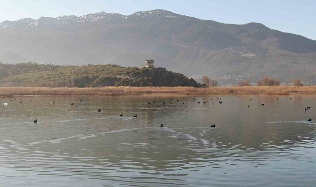 Göller Yöresi'ndeki su kuşu sayımları ekosistem değişimlerini aydınlatıyor