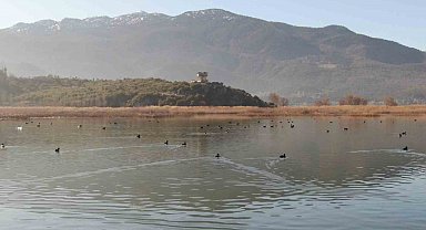 Göller Yöresi'ndeki su kuşu sayımları ekosistem değişimlerini aydınlatıyor