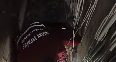 Havalandırma boşluğuna düşen kedinin itfaiye tarafından kurtarıldığı anlar kamerada