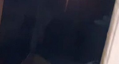 Hayvan çiftliğinde çıkan yangında 10 tavuk 100 civciv telef oldu