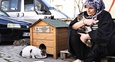 Hayvanseverler istedi, Başkan Çavuşoğlu sözünü tuttu