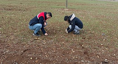 Hububat ekili alanlarda bitki kontrolleri devam ediyor