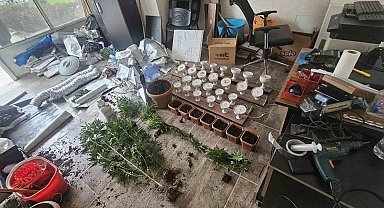 İş yerinde esrar yetiştiren kişi tutuklandı