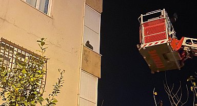 İskenderun'da balkonda mahsur kalan kediyi itfaiye kurtardı