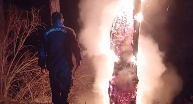 Isparta'da yıldırımın düştüğü ağaç küle döndü