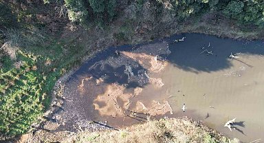 İstanbul'da korkutan görüntü, yüzlerce balık ölüsü kıyıya vurdu, tarihi Varan Gölü çöplüğe döndü