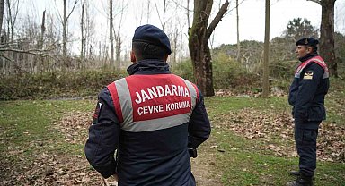 Kaçak ayı 9 gün sonra yakalandı