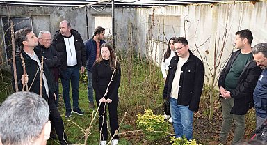 Kahverengi kokarca ile mücadelede kritik aylar