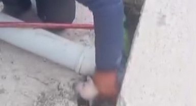 Kanalizasyon kuyusuna düşen 3 yavru köpeğin yardımına vatandaş koştu